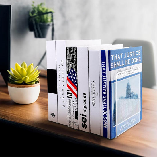 6 gros livres tenu serre livre transparent